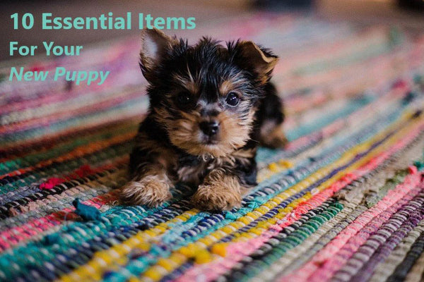 Essential puppy list best sale