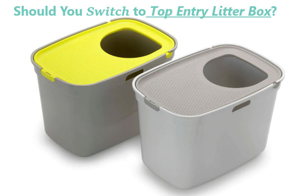 Benefits of top entry clearance litter box