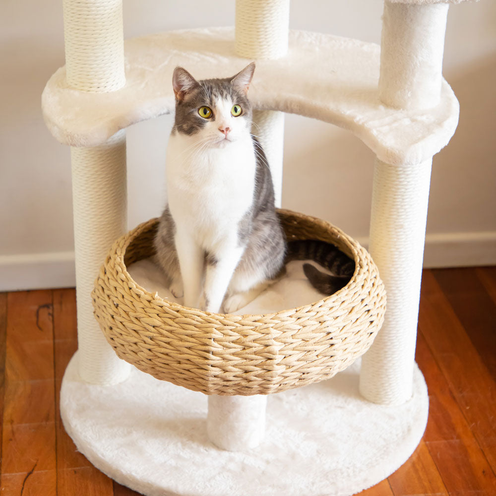 Wicker basket best sale cat tree