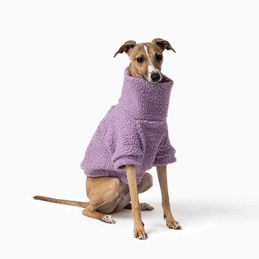 Teddy Dog Jumpers for Sale Online Modern Pets