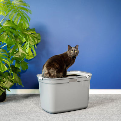 Top Entry Litter Box, Moderna Top Cat, Cool Grey