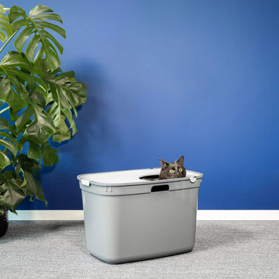 Top Entry Litter Box, Moderna Top Cat, Cool Grey