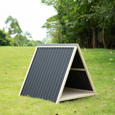 Modern Triangle Dog House