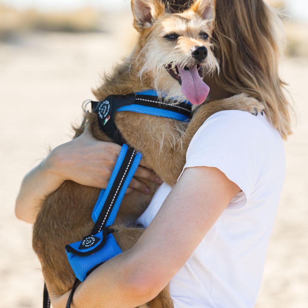 Dog poop bag clearance harness