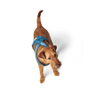 Hunter London Comfort Dog Harness