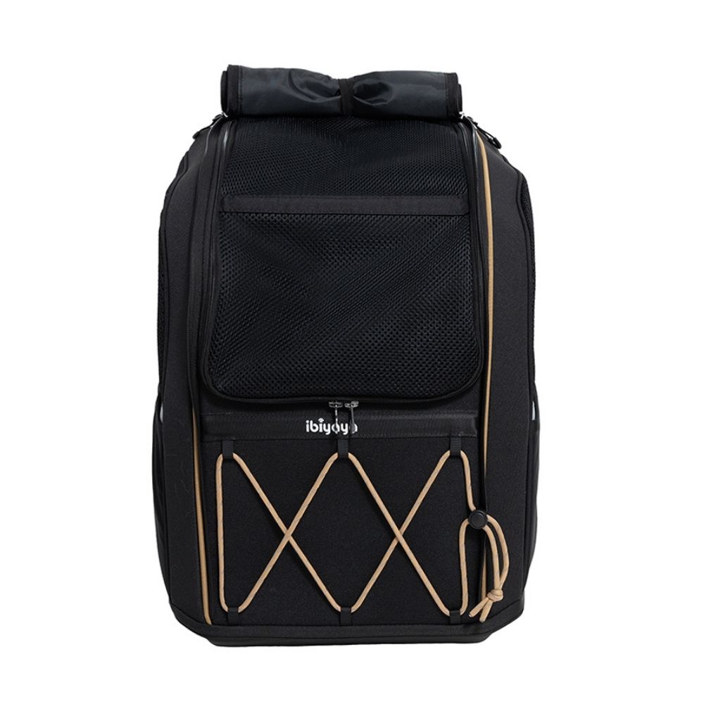 Black and 2024 gold champion backpack