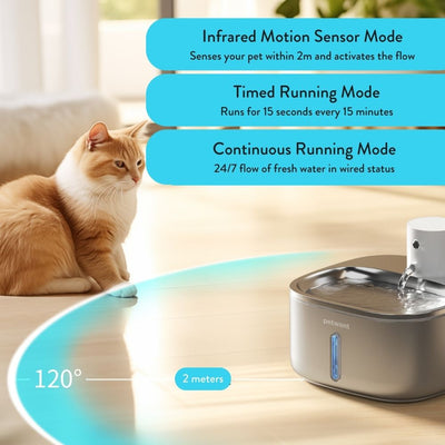 Cordless Sensor Pet Water Fountain, Stainless Steel