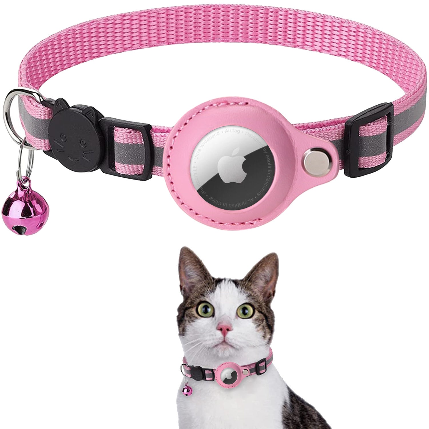 Unique cat best sale collars and tags