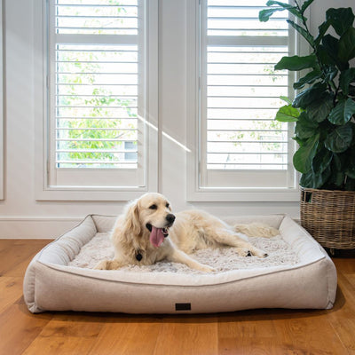 Dog Lounger Bed, Aspen Faux Fur