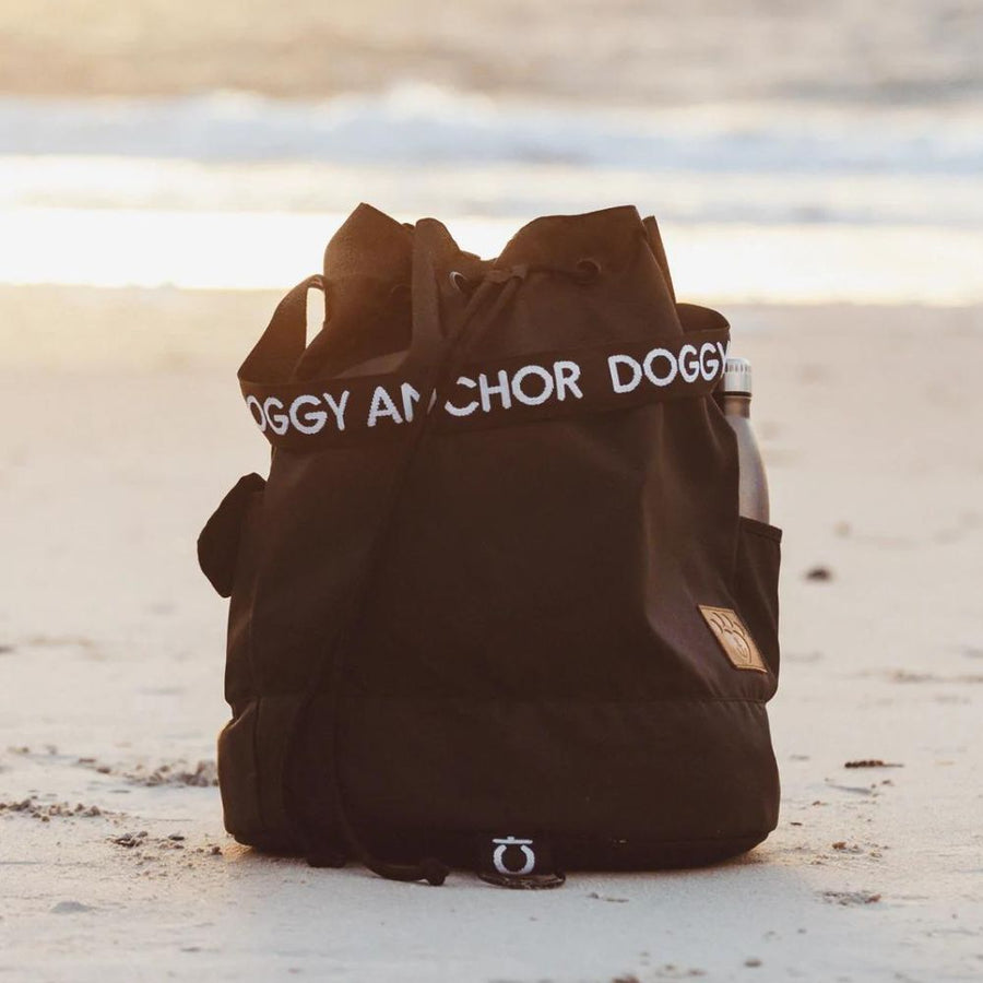 Dog beach accessories best sale