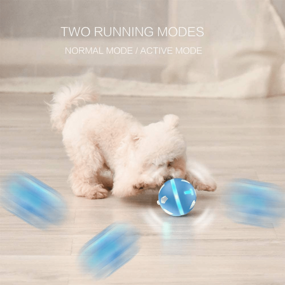 Moving ball best sale toy for dogs