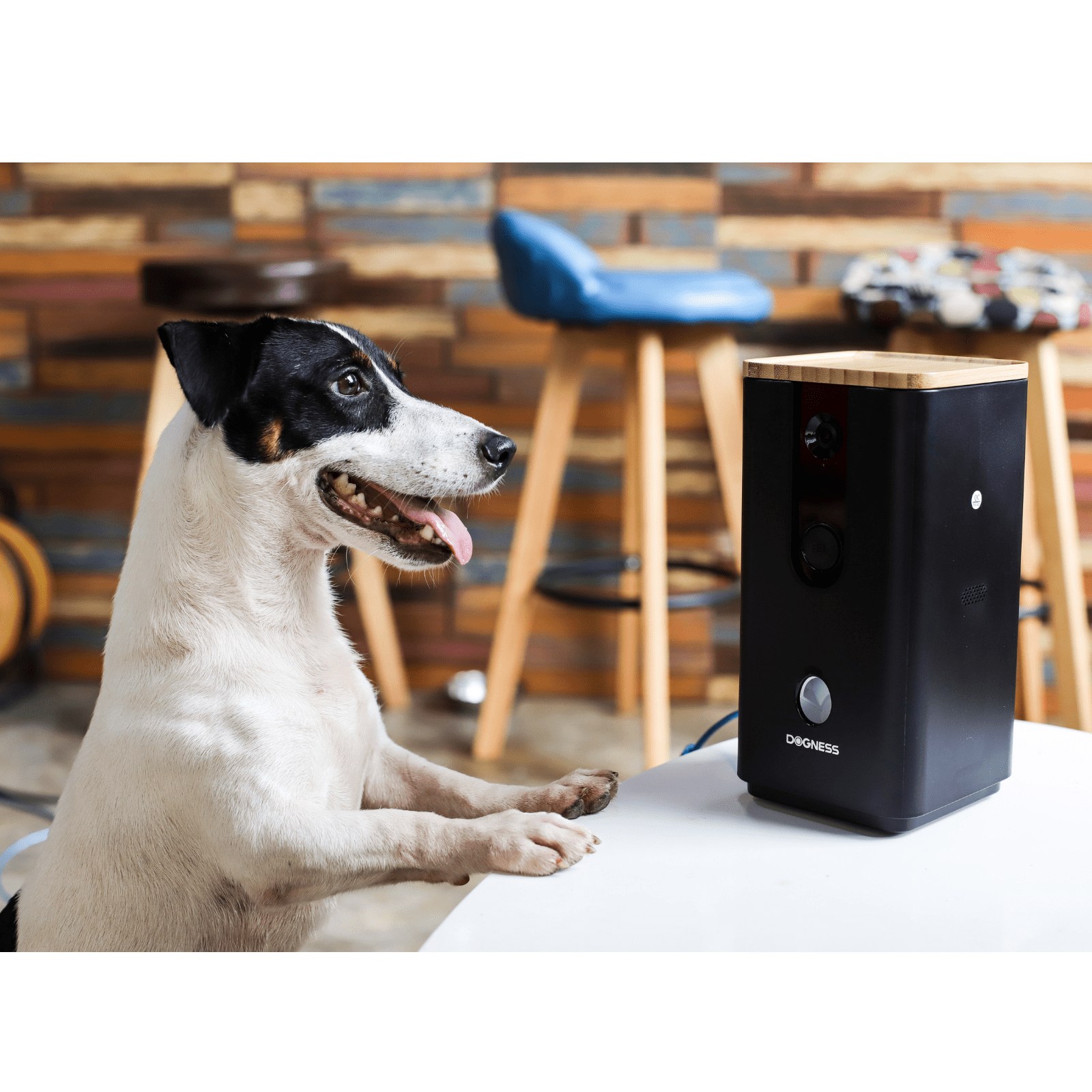 DOGNESS Pet Treat Dispenser with Camera