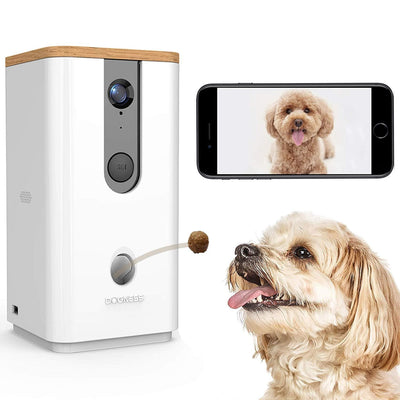 treat dispensing dog camera