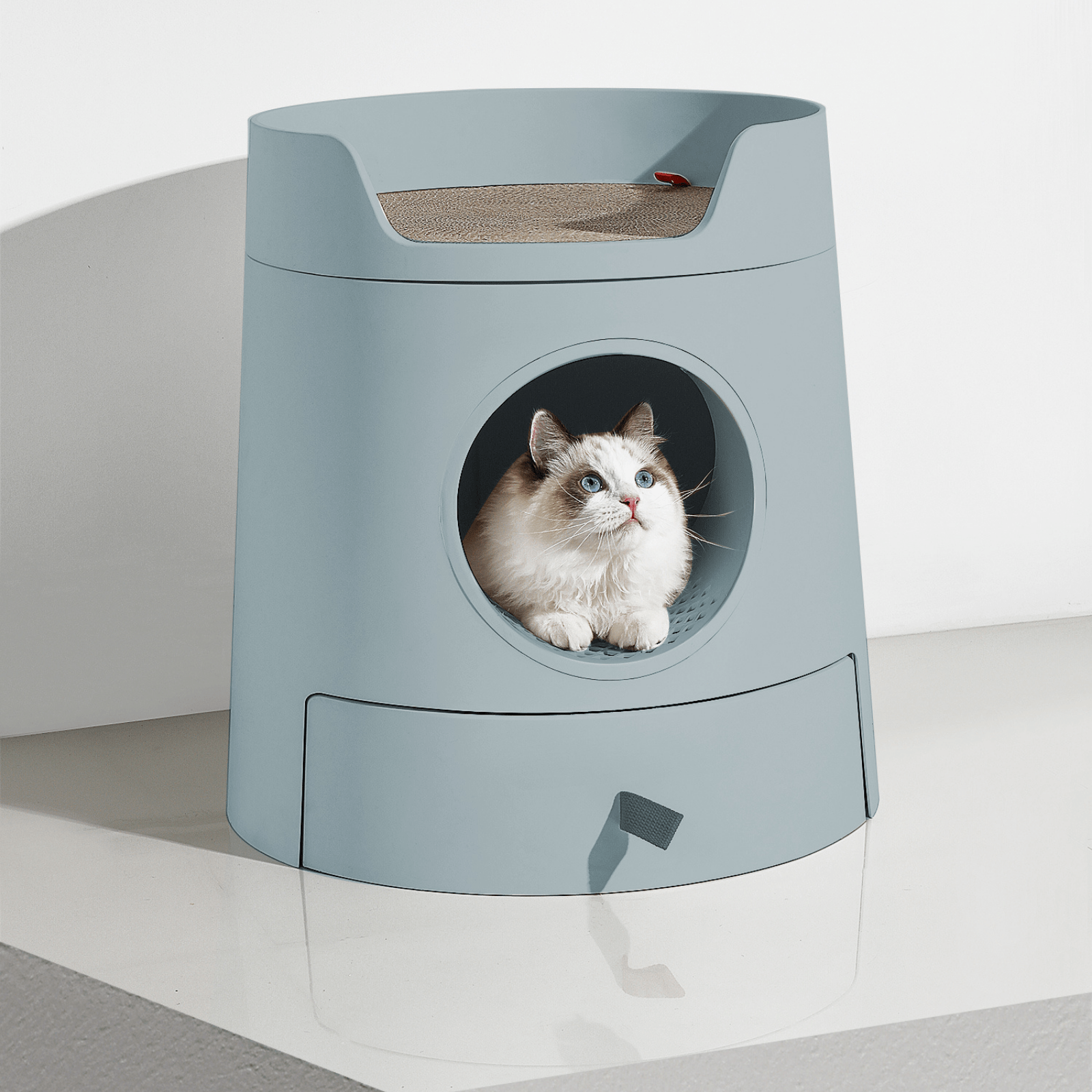 Cat litter box that scoops clearance itself