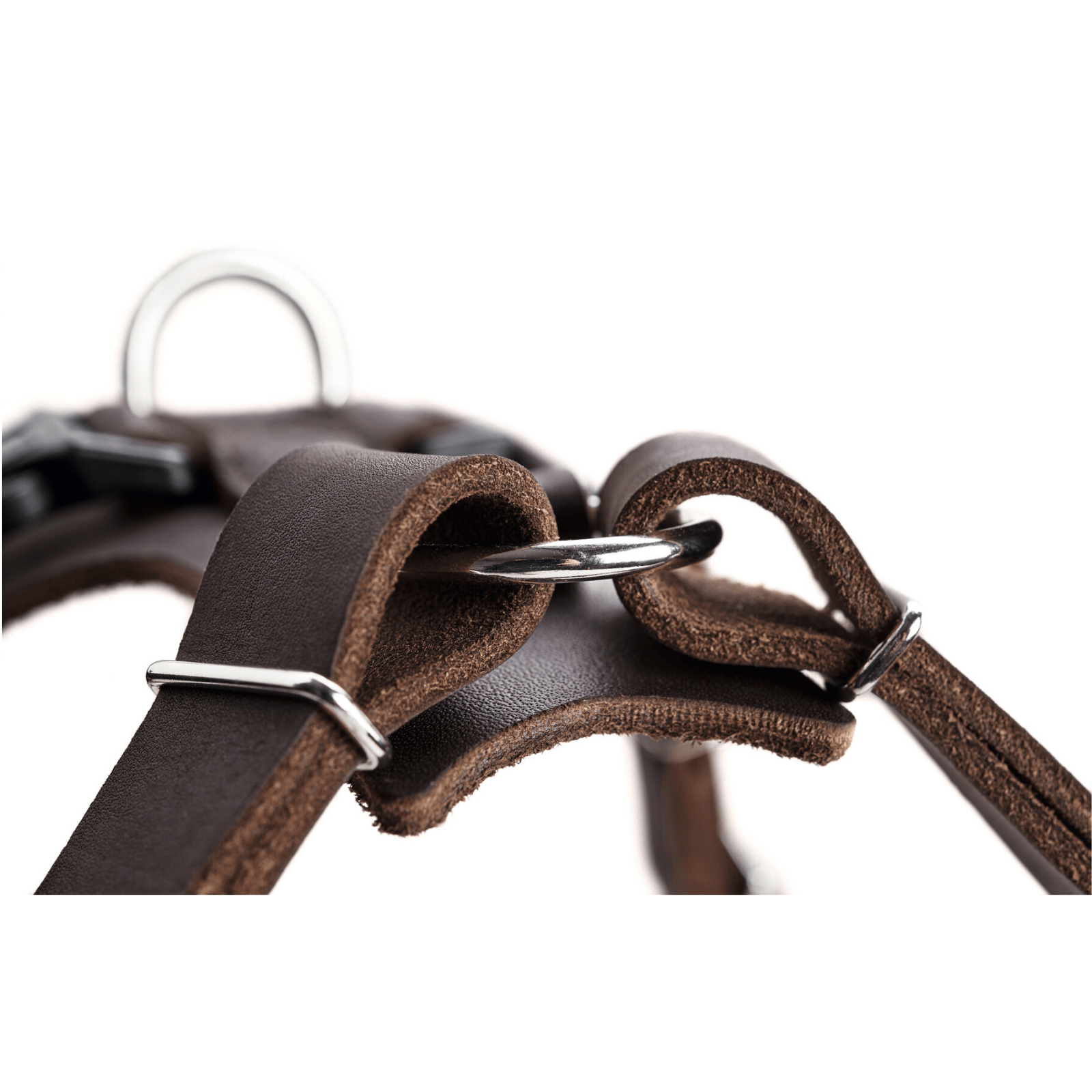 Genuine leather dog outlet harness