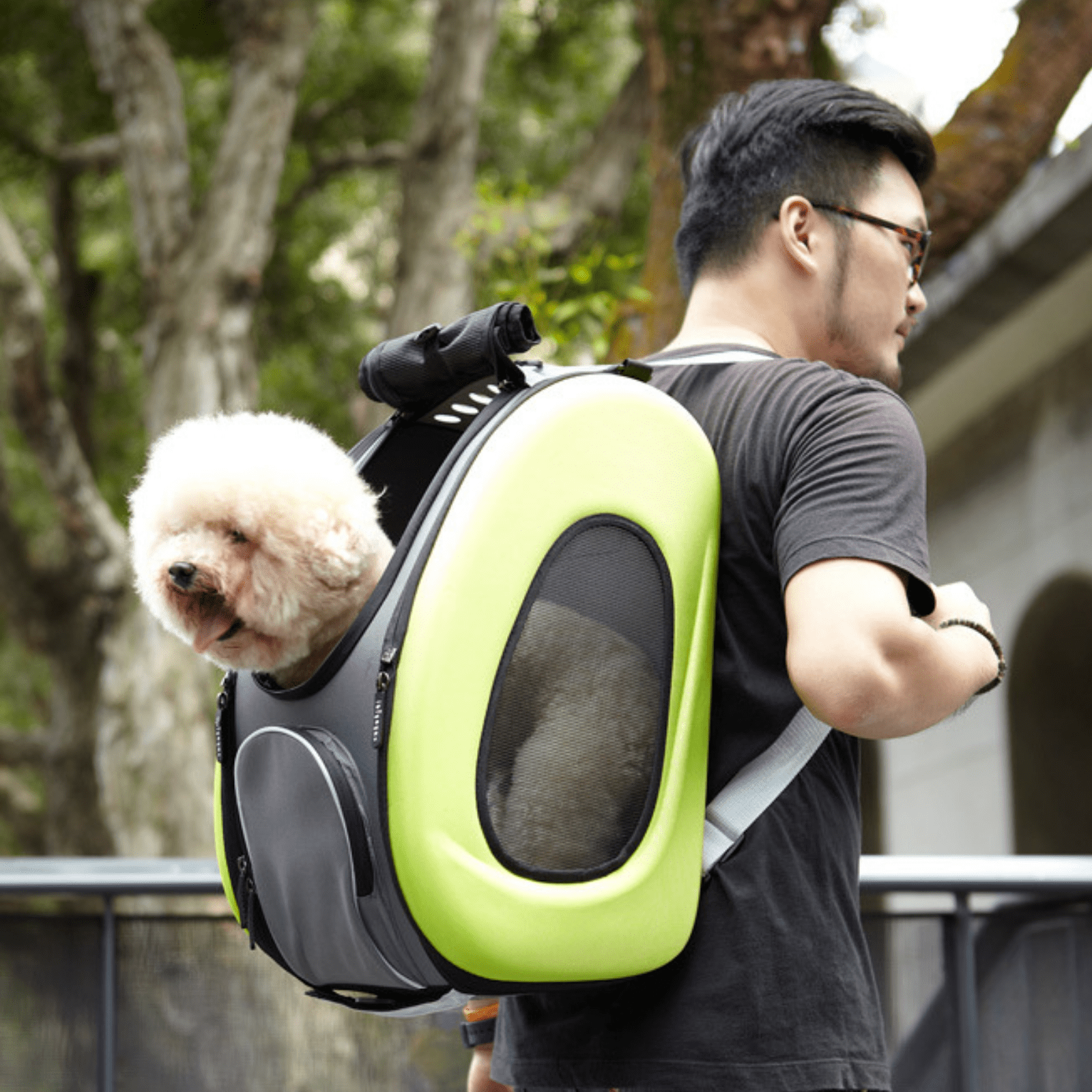 One for pets shop the eva backpack