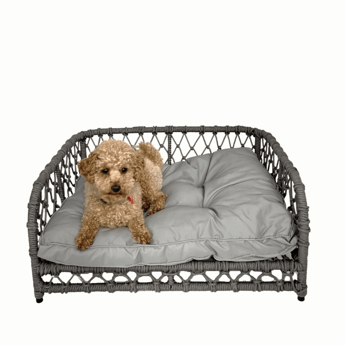 Jacob Outdoor Wicker Rope Elevated Dog Bed | Indoor Outdoor Pet Sofa ...