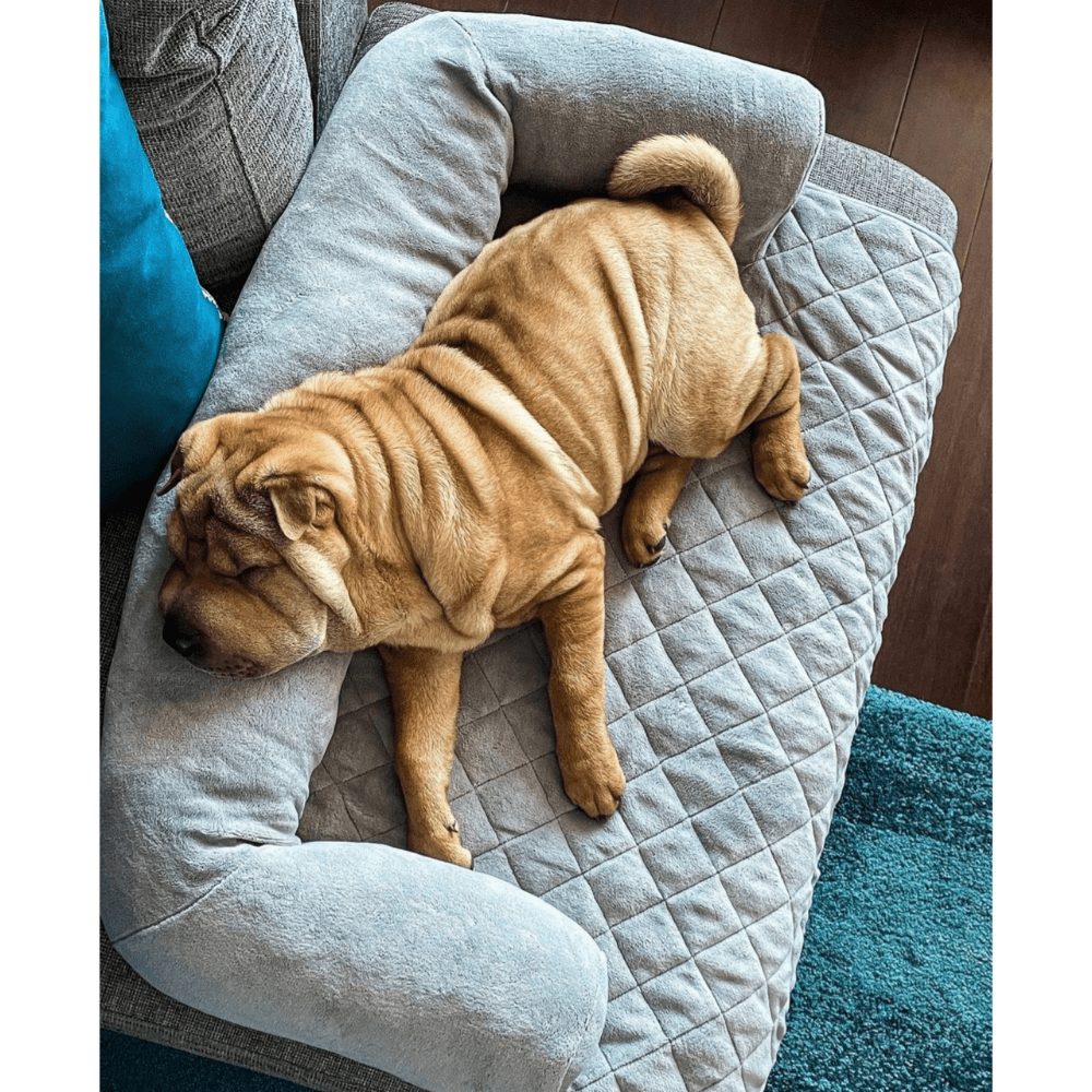 Pet quilted couch outlet topper