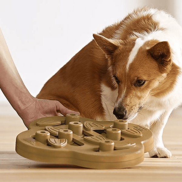 Nina Ottosson Dog Puzzle Toy Interactive Treat Dispenser, Dog Twister -  Modern Pets