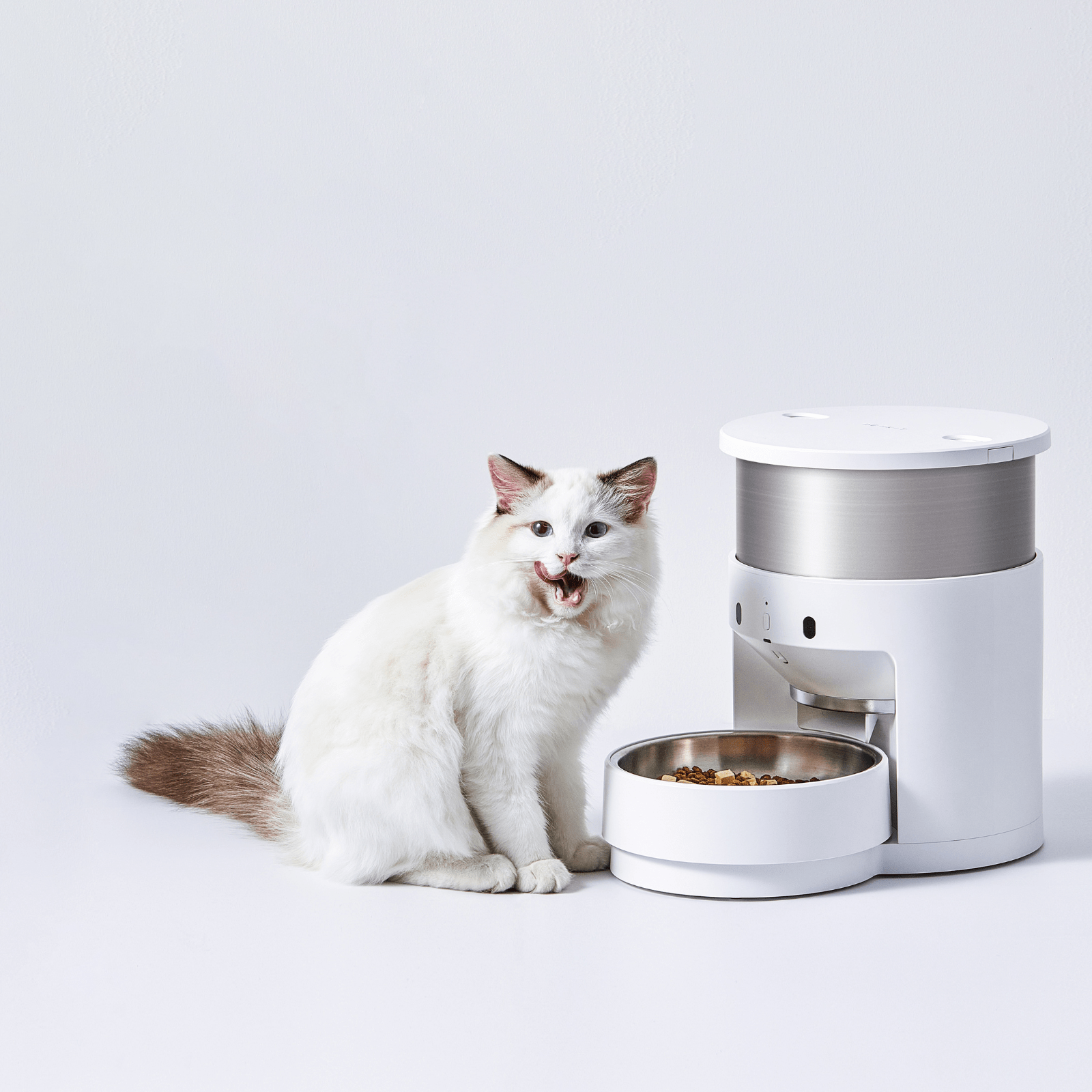 Petkit Fresh Element 3 Smart Automatic Pet Feeder Stainless Steel 5L ...