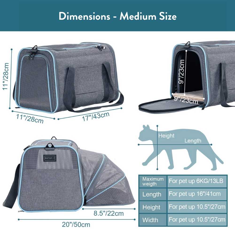 Expandable Soft Pet Carrier with Dual Access