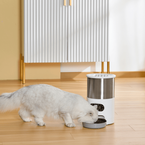 Furry tail pet smart feeder sale