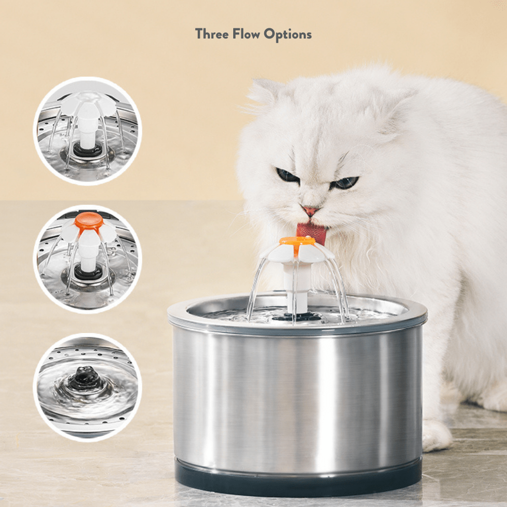 Petwant Stainless Steel Cat Water Fountain