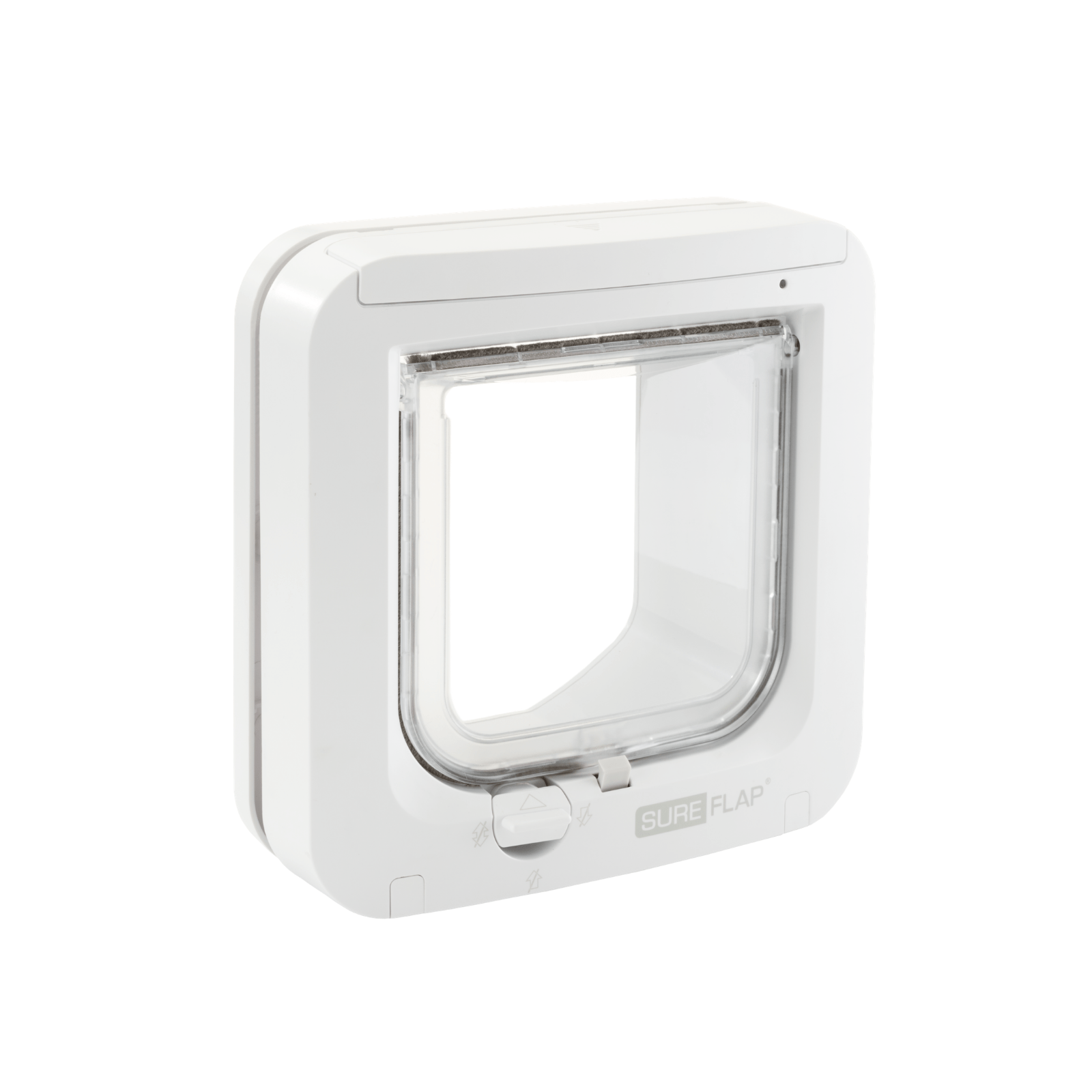 Automatic cat flap on sale door