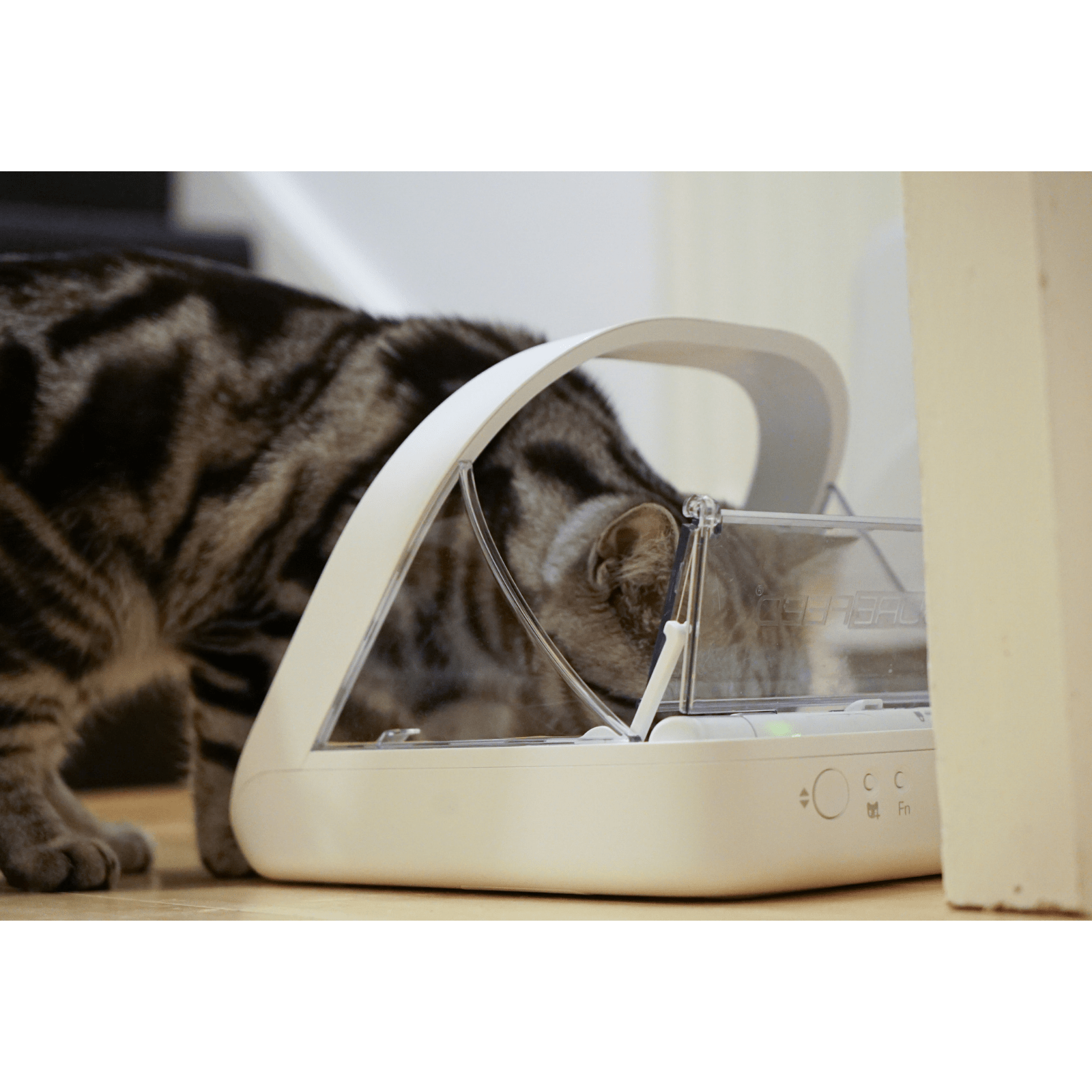 https://www.modernpet.com.au/cdn/shop/products/sure-petcare-pet-feeder-surefeed-microchip-pet-feeder-smart-feeding-bowl-for-dogs-cats-31862397731015_2000x.png?v=1635175805