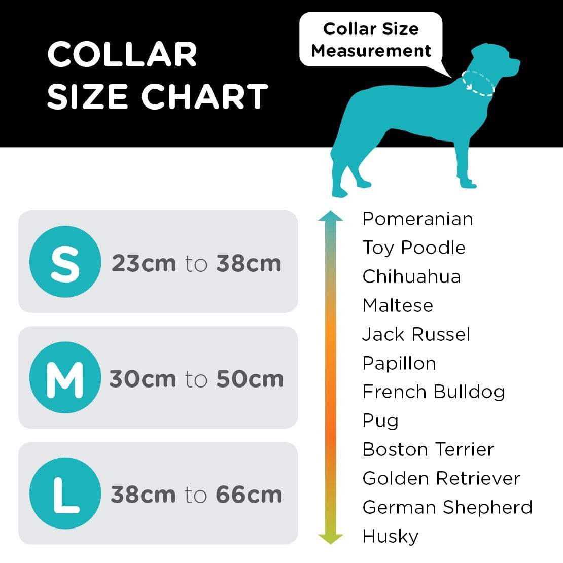 Collar size for husky sale